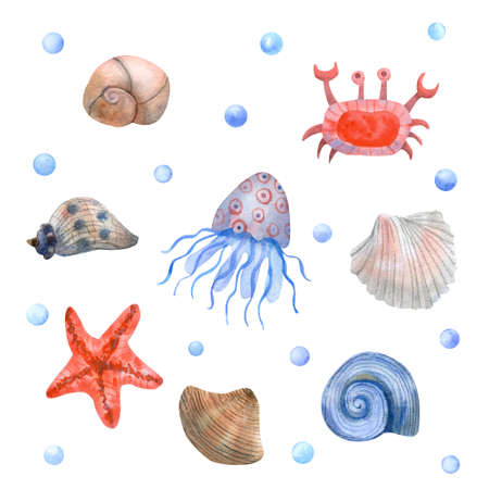 Watercolor set with seashells and sea animals on white background. Hand painted illustration. Red, brown and blue colors.の写真素材