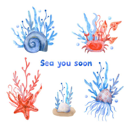 Watercolor compositions with seashells, seaweed and sea animals on white background. Hand painted lettering. Hand painted illustration of water plants. Red, beige and blue colors.の写真素材