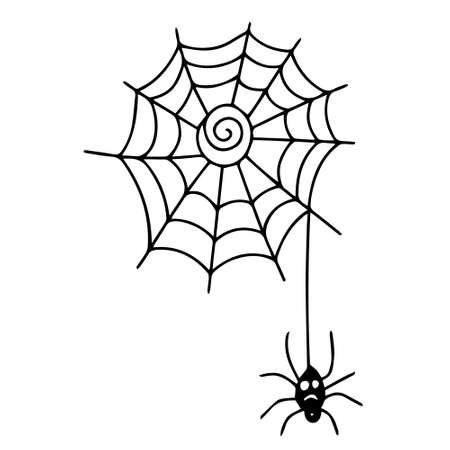 Spider web in doodle hand drawn style. Vector illustration, isolated black outline. Great for Halloween design.のイラスト素材