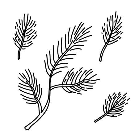 Pine tree branches set. Hand drawn vector illustration isolated on white. Great for xmas and New year greeting cards, posters.のイラスト素材