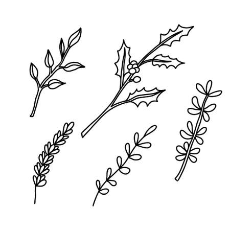 Set with holly plant and branches. Hand drawn vector illustration isolated on white. Great for xmas and New year greeting cards, posters.のイラスト素材