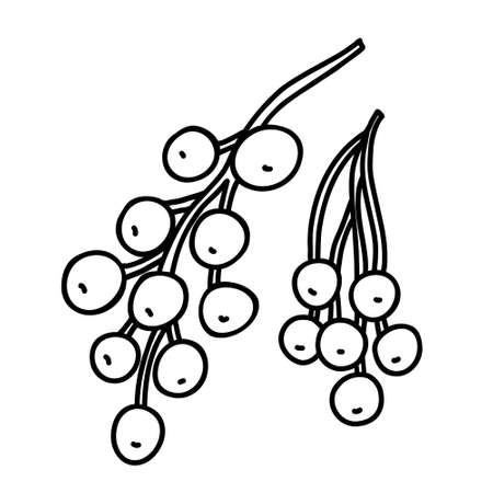 Berries hand drawn doodle vector illustration isolated on white. Black outline.のイラスト素材