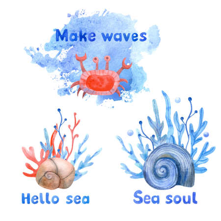 Watercolor compositions with seashells, seaweed and sea crab on white background. Hand painted lettering and illustration isolated on white background. Red, beige and blue colors.の写真素材
