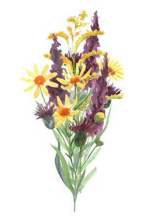 Bouquet of wild flowers. Watercolor hand painted illustration isolated on white background. Purple and yellow meadow flowers. Beautiful floral arrangement.の写真素材