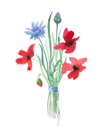 Bouquet of wild flowers. Watercolor hand painted illustration isolated on white background. Blue and red meadow flowers of poppy and cornflower. Beautiful floral arrangement.の写真素材