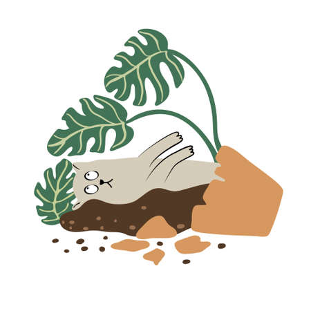 Lying cat and broken monstera houseplant pot. flat style. Vector hand drawn illustration isolated on white background. Funny pet.のイラスト素材