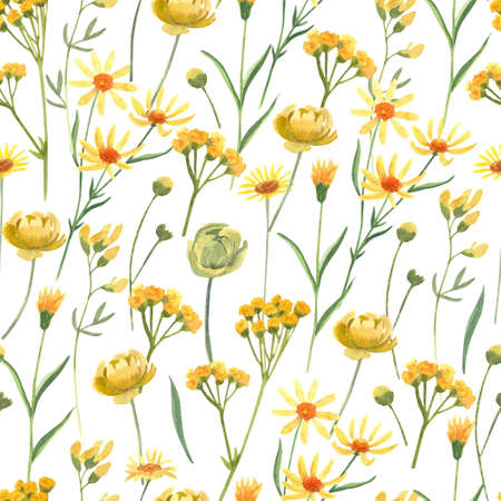 Seamless pattern with yellow wild flowers and leaves. Watercolor hand painted illustration on white. Great for fabrics, wrapping papers, wallpapers, covers. Summer textile print.の写真素材