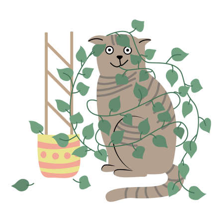 Cat with scindapsus houseplant in a pot. flat style. Vector hand drawn illustration isolated on white background. Funny pet and house plant.のイラスト素材