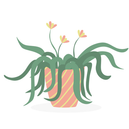 Spider plant in a flower pot. Vector hand drawn illustration of a house plant isolated on white background. flat style.のイラスト素材