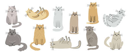 Cat set. Hand drawn flat vector illustration isolated on white background. Funny pet animal characters.のイラスト素材