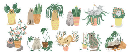 Cats and houseplants set. Hand drawn flat vector illustration isolated on white. Funny animal characters and house plants. Potted plants and pets.のイラスト素材