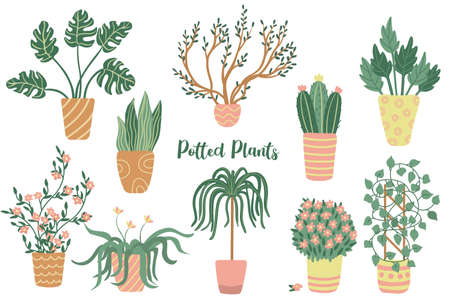 Houseplant set. Hand drawn flat vector illustrations of house plants isolated on white. potted plant clipart.のイラスト素材