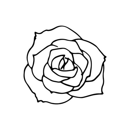 Beautiful monochrome rose isolated on white background. Hand-drawn contour line. Element for creating a design, can be used on postcards, invitations of wedding, birthday, flyers, posters, advertising.のイラスト素材