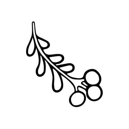 Hand-drawn branch with berries isolated on white. Vector illustration in Doodle style for seasonal design.のイラスト素材