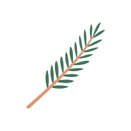 A painted spruce branch isolated on a white background. Vector, simple illustration for the design of Christmas or new year greeting cards.のイラスト素材