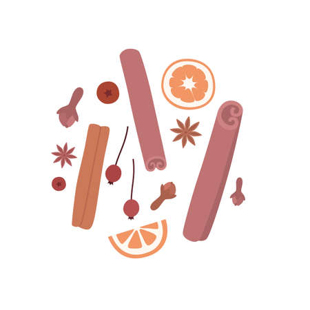 Set of spices for mulled wine: star anise, cinnamon, cloves, orange, berries. Vector hand-drawn illustration.のイラスト素材