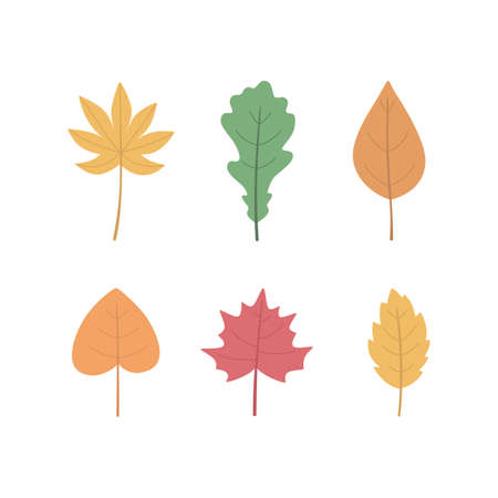 Autumn leaves set, isolated on white background. Hand-drawn vector illustration.のイラスト素材