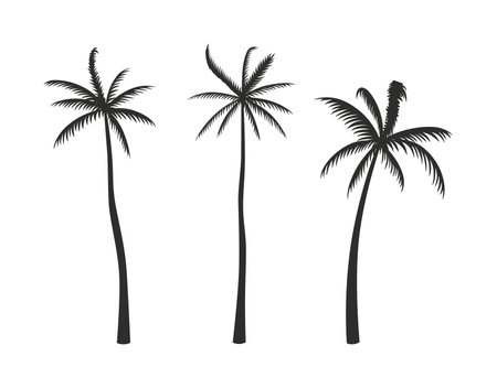 Set of silhouettes of palm trees in a hand-drawn style. Flat vector illustration.のイラスト素材