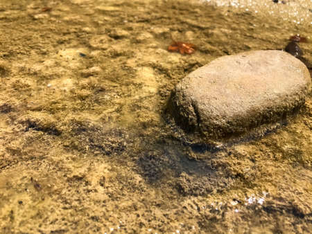 Crystal clear water backgroundの写真素材