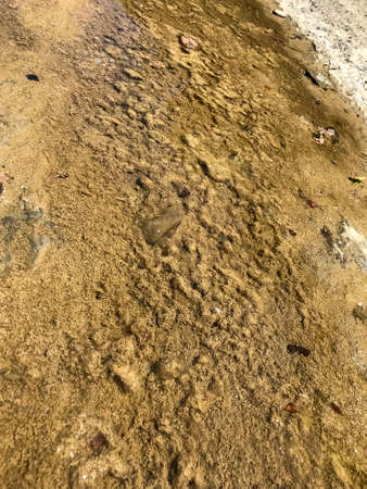 the bottom of a mountain river during a drought