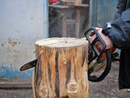 notches in the structure of an unfinished stump made by a man with a chainsaw, a fragment of a log...