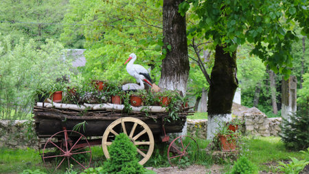 old fashioned wooden cart used as installation place with two storks and flower pots in rural area, art object with birds and flowers in country styleの写真素材