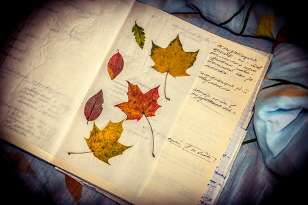 maple and fern leaves are drying in opened old notebook, toned image with vignetteの写真素材