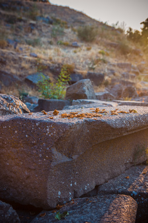 Cracked nuts close-up in ruins of ancient amphitheatre in Erytrai, Ildiri, Cesme, Turkey  view in sunset rays of sun with highlights toned picture shallow depth of fieldのeditorial素材