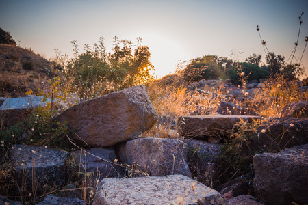 Grass close-up in ruins of ancient amphitheatre in Erytrai, Ildiri, Cesme, Turkey  view in sunset rays of sun with highlights toned picture shallow depth of fieldのeditorial素材