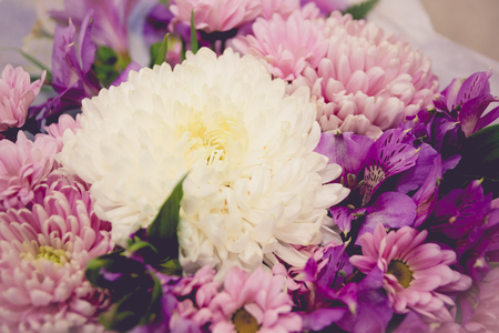 purple and white chrysanthemums and asteria with bokeh on the background toned image shallow depth of fieldの写真素材