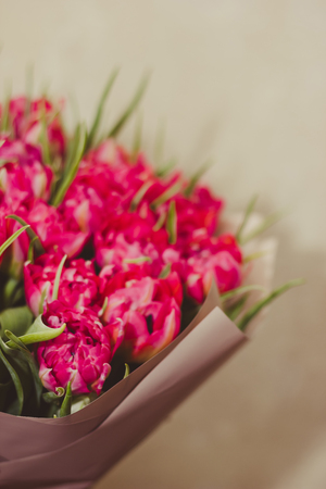 Toned picture of pink parrot tulips bouquet close-up shallow depth of field on beige background の写真素材