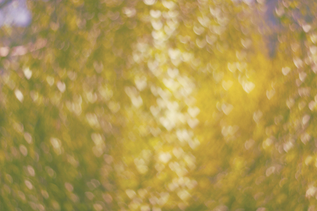 Texture made of defocused yellow background with heart shaped bokeh toned imageの写真素材