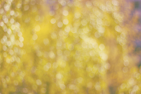 Texture made of defocused yellow background with bokeh toned image