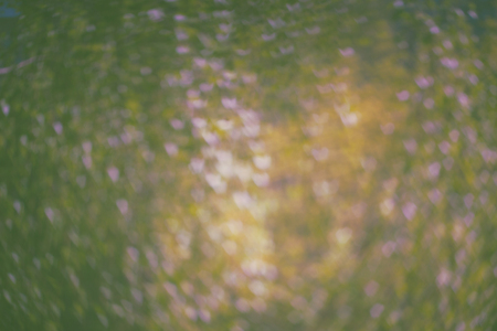 Texture made of defocused green and orange colored background with heart shaped bokeh toned image