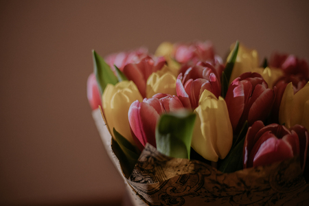 Toned picture of pink and yellow tulips bouquet in the sun light close-up shallow depth of fieldの写真素材