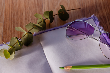 Flat lay toned image of purple fluffy notepad, purple sunglasses, twig and green pencil shallow depth of fieldの写真素材
