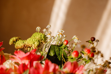 lush bouquet with berries and daisies in sunlight close-up shallow depth of field