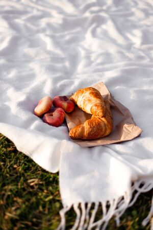 Croissants and fig peaches on a white plaid lie on the grass. Picnic on a sunny day. Toned image...