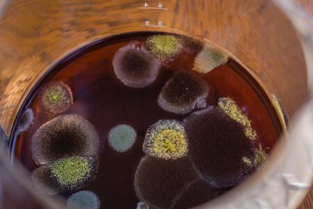 Mold in coffee pot. Close-up, shallow depth of fieldの写真素材