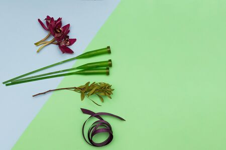 Orchids, floristic flask and satin ribbons on colored background. Place for textの写真素材