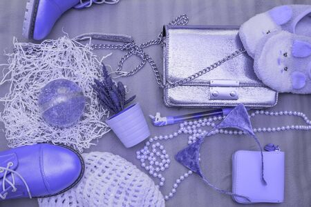 Flat lay of girl stuff clutch bag for women, bezel with ears, snow globe and small cactus in pot, boots, pearl beads and pen with unicorn top view Classic Blue color of the year 2020の写真素材