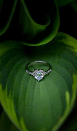 White gold engagement ring with a heart-shaped diamond lying on a green leaf. A fresh and elegant wedding background.の写真素材