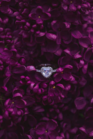 White gold engagement ring with a heart-shaped diamond lying among dark purple lilac flowers. An elegant floral wedding background.の写真素材