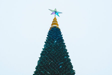 New Year's star (decoration) at the top, at the peak of the Christmas tree. Christmas tree with a star. Tree on the street. Christmas decorative star on top of the Christmas tree.の写真素材