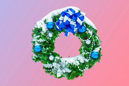 Christmas wreath with fir branches and blue balls, covered in snow, isolated on pink and purple background. Christmas decor. Street decoration in the winter holiday New Year.の写真素材