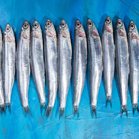 Seafood. Small sea fish, anchovies, sardines on the blue background. Fish patternの写真素材
