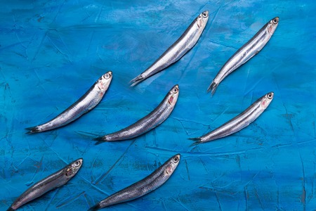 Fish pattern. Anchovies are swimming on a blue sea background.