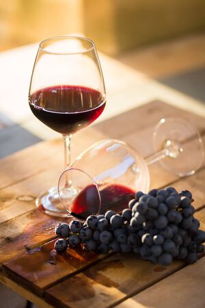 Dropped wine glass and spilled red wine on a wooden table with one purple grapes on a sunny summer day,の写真素材