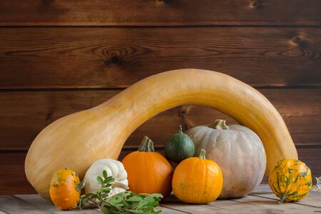 Pumpkins on wooden background, copy space for text. Halloween, Thanksgiving day or seasonal autumnal, Design mock up horizontalの写真素材