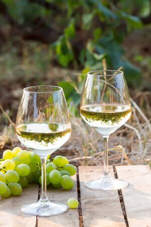 two glasses of white wine on a wooden background, outdoor Italyの写真素材